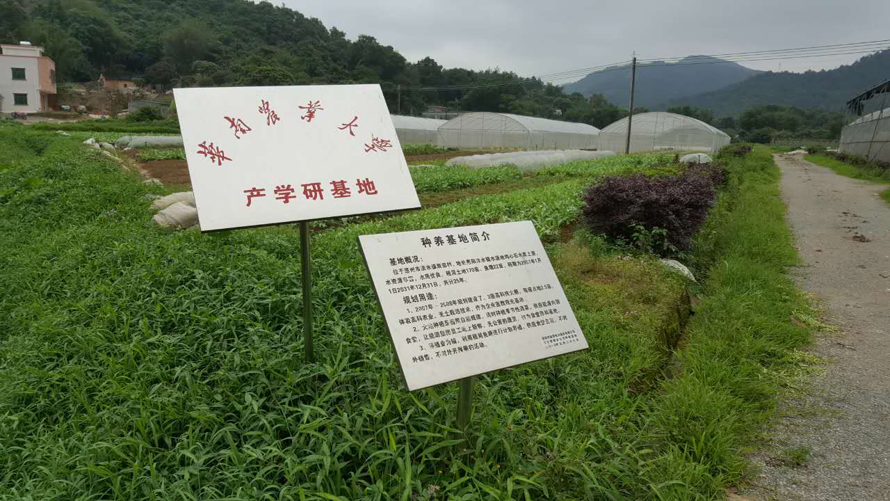 沼液沼渣用來種植有機蔬菜經(jīng)典案例